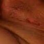 pussy