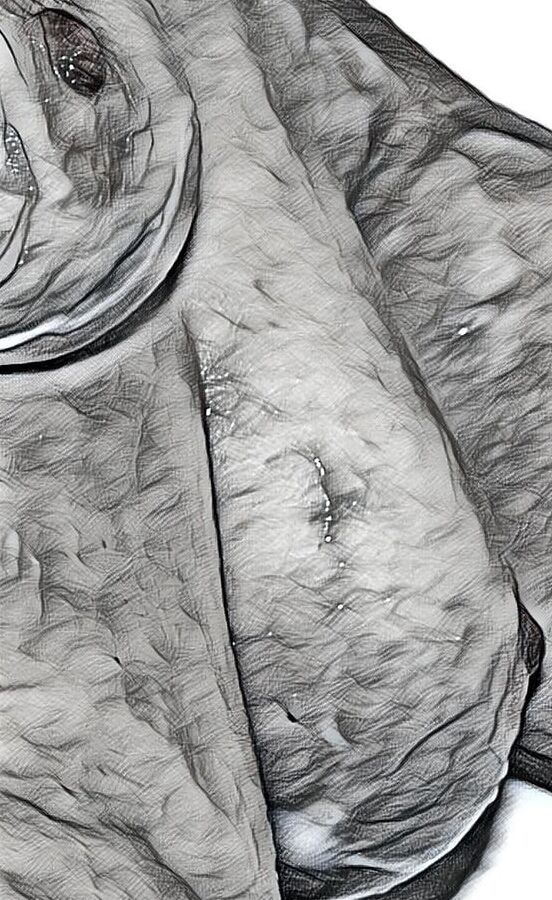Meine Tittchen mal ganz anders Teil