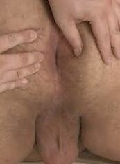 Asses For Fucking