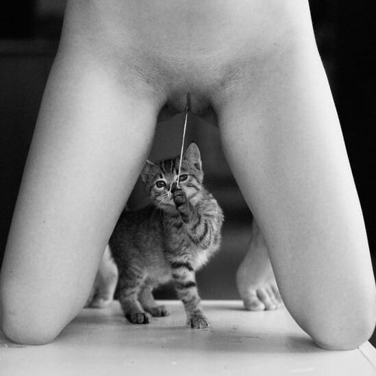 Fun, fear &amp; lustful