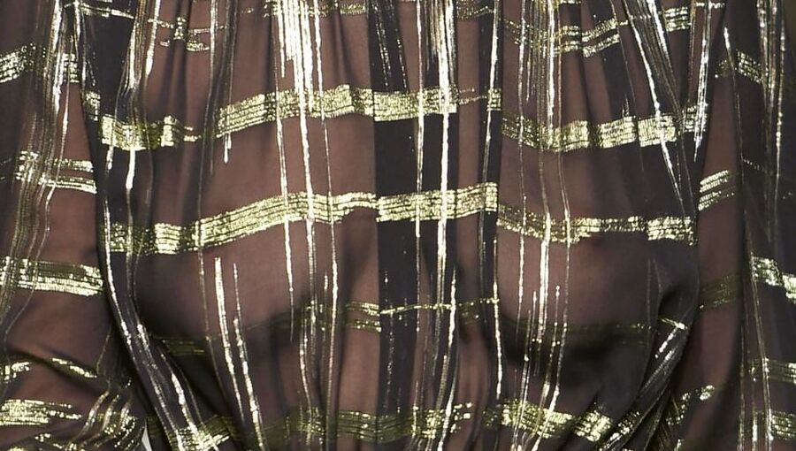 Bella Hadid seethrough jan