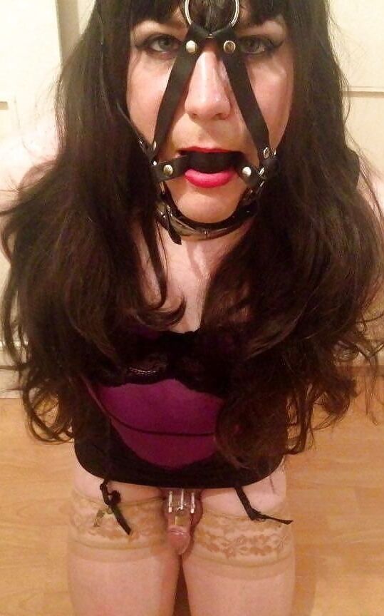 Bound sissies