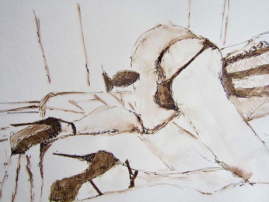 les dessins