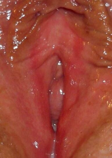 Pussy galore