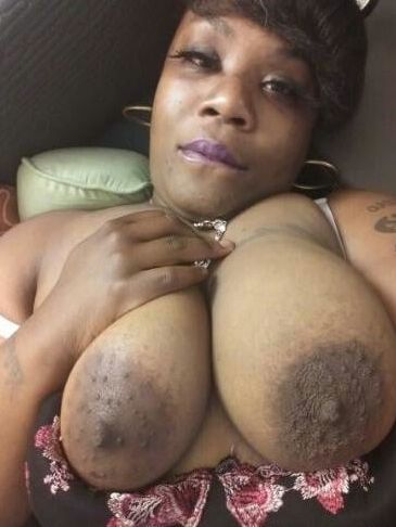 Hoes On They Back
