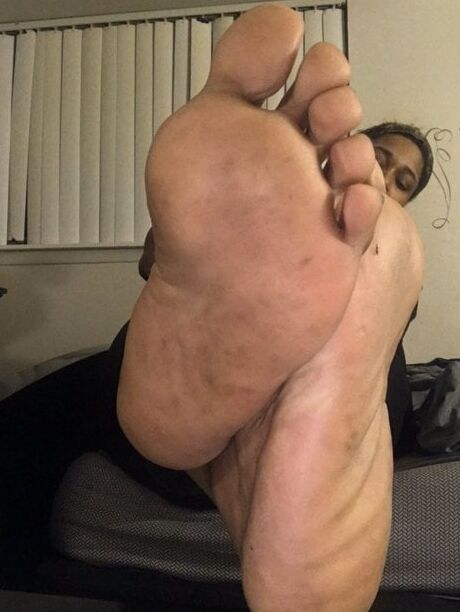 milkandhoney_arches