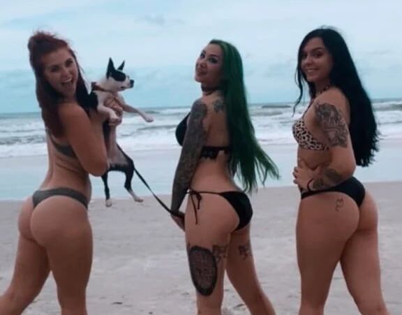 Shotzi Blackheart