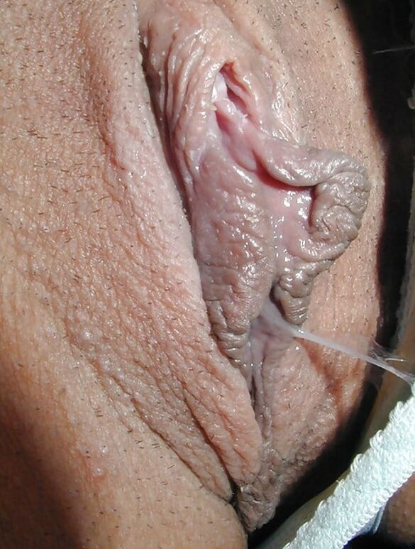 Pretty Pussy Lips