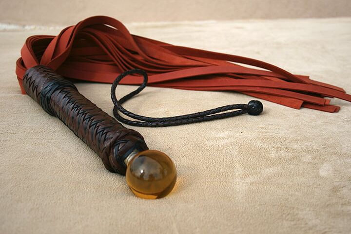 Yellow-Eyed Heavy Flogger