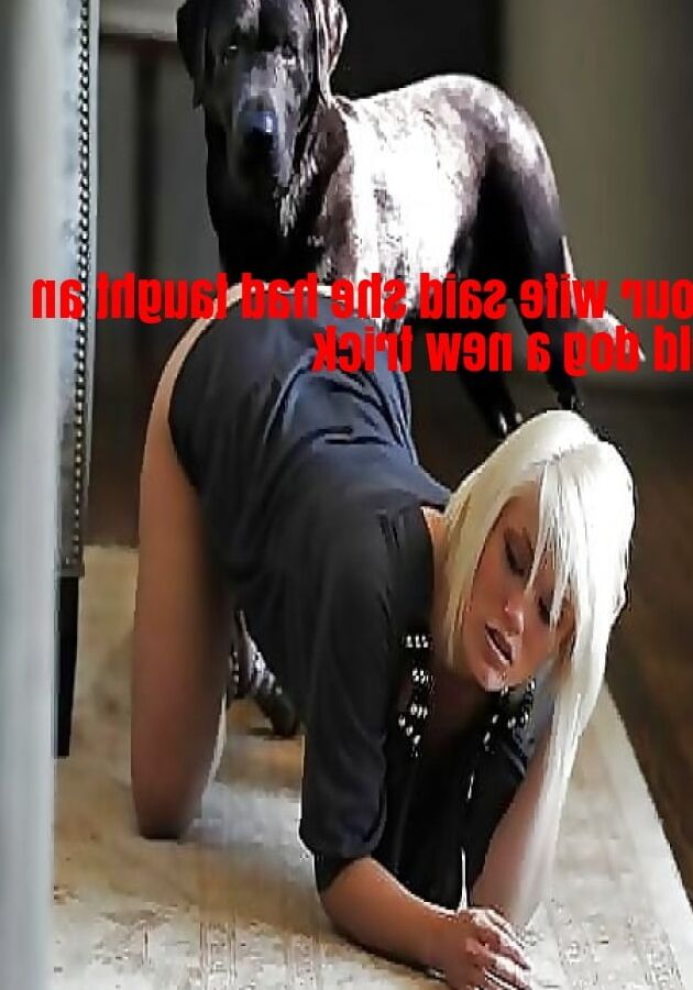 Naughty Wives and Girlfriends