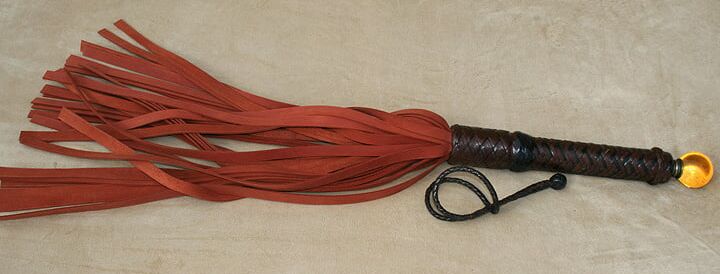 Yellow-Eyed Heavy Flogger