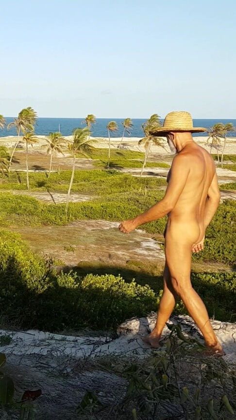 Vivid scenery of nude beach