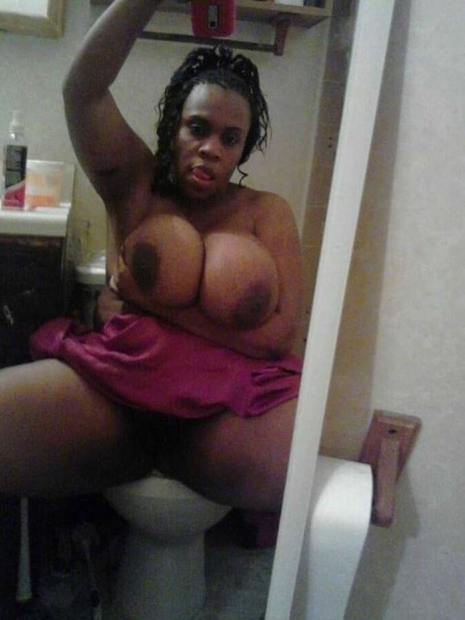 Black bbw beauties
