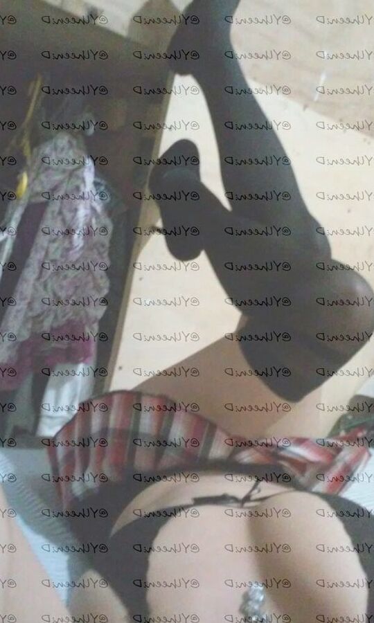 colegiada