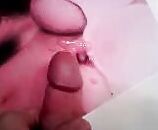 Wife Tributes