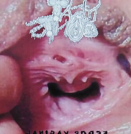 Lo mejor del desnudo erótico y porno, álbum de artes de la música.