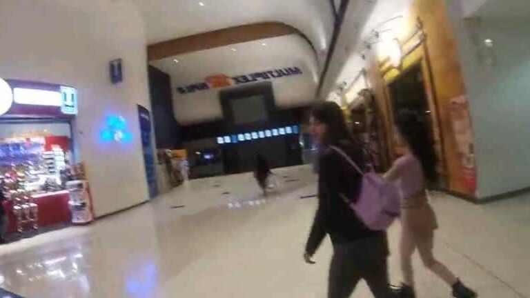 Troietta italiana al centro commerciale di Assago