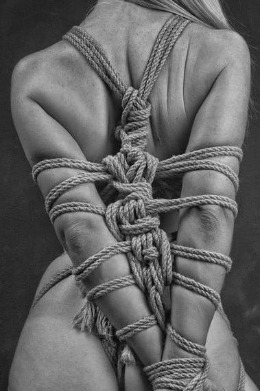 Shibari