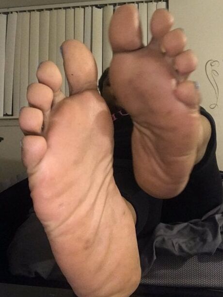 milkandhoney_arches