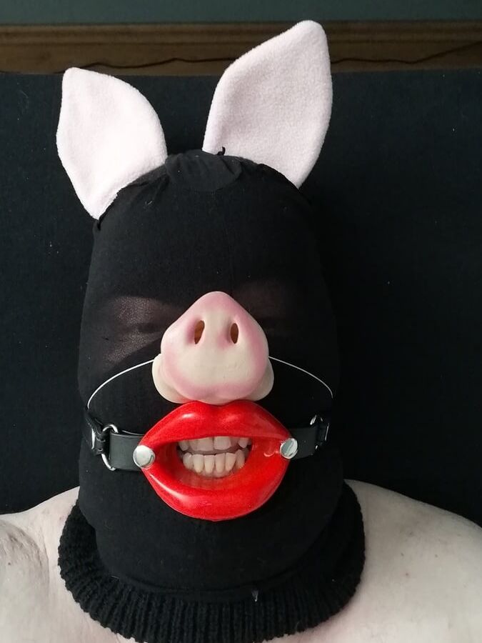 Fuckpig