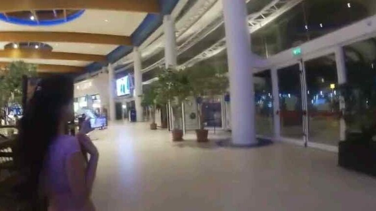 Troietta italiana al centro commerciale di Assago