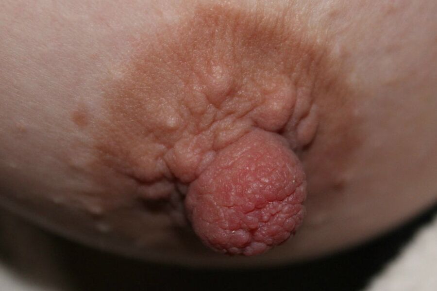 gros seins