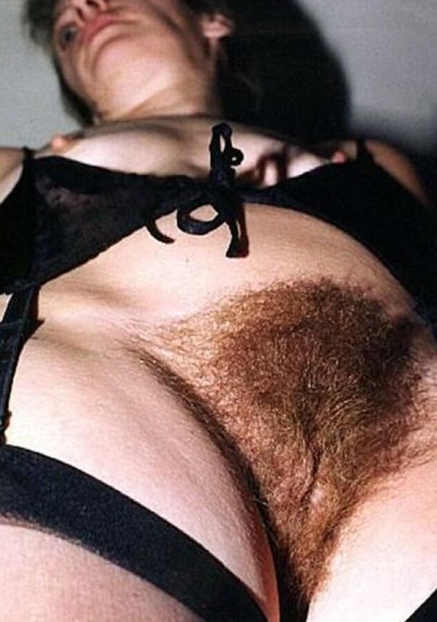 Bonnes chattes poilues vol . (Hairy Pussies Hairy cunt)