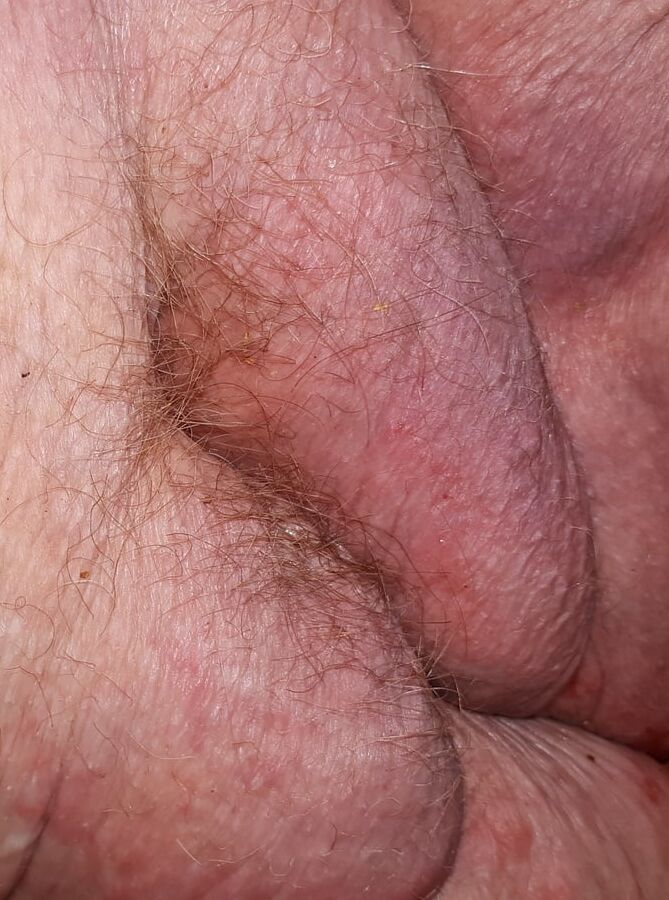 assorted ass &amp; pussy