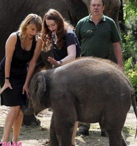 Funny pics