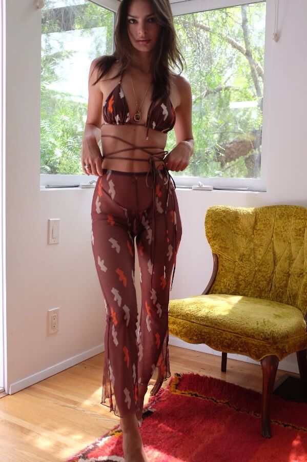 Emily Ratajkowski Inamorata Mesh (April )