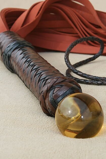 Yellow-Eyed Heavy Flogger