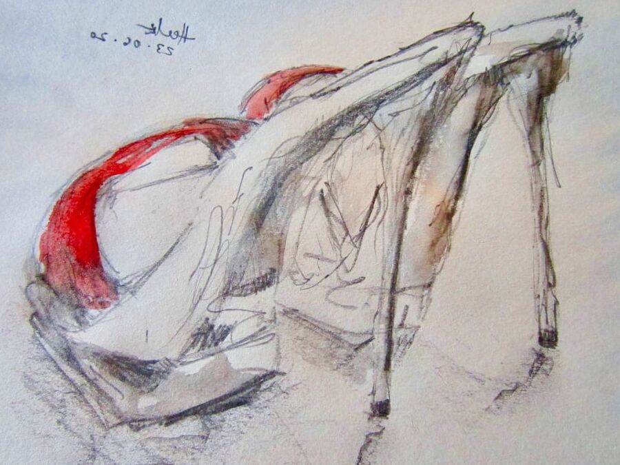 les dessins