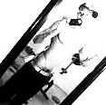 Sexii