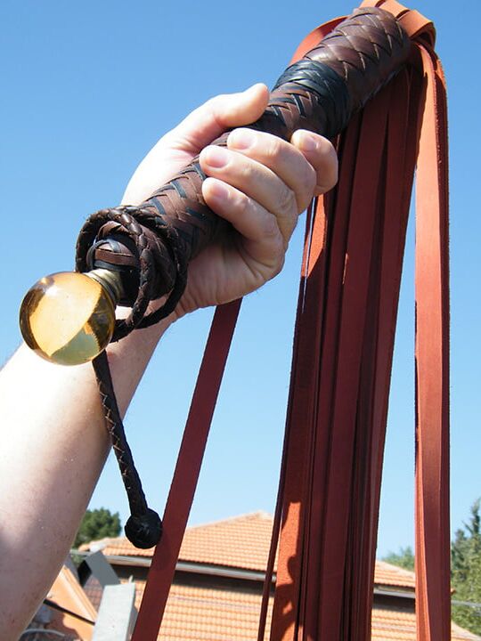 Yellow-Eyed Heavy Flogger