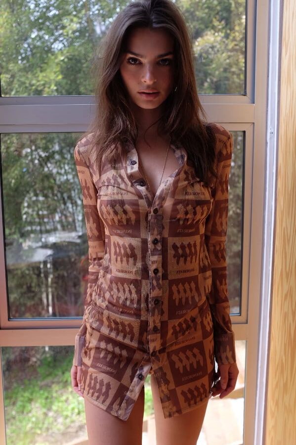 Emily Ratajkowski Inamorata Mesh (April )