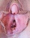 Pussy galore