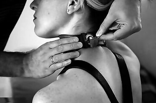 MY BDSM