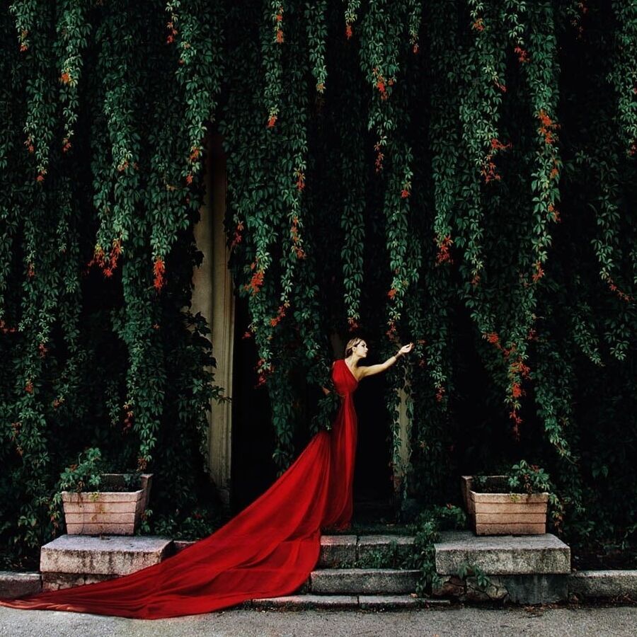 Photography by Olha S.