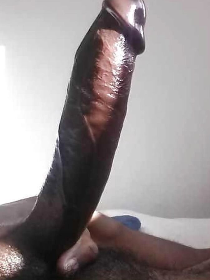 Reneas bbc gallery