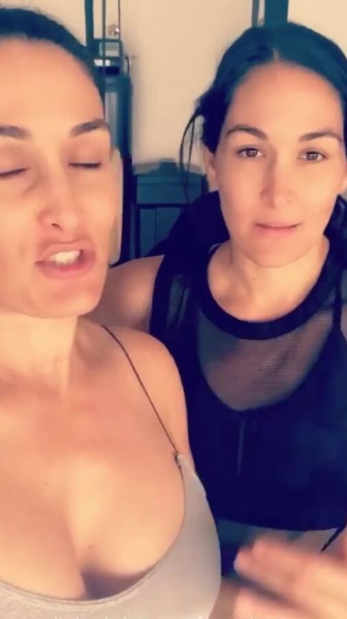 Pregnant Bella Twins ()