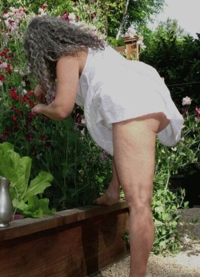 Matures in the garden and yard
