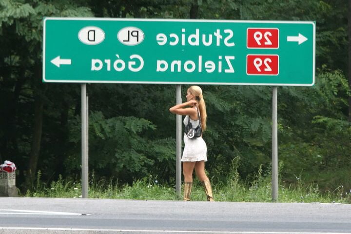 Kurwy polskich ulic.