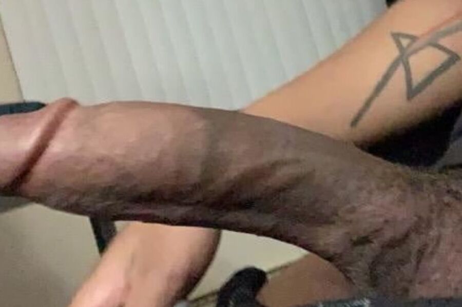 Reneas bbc gallery