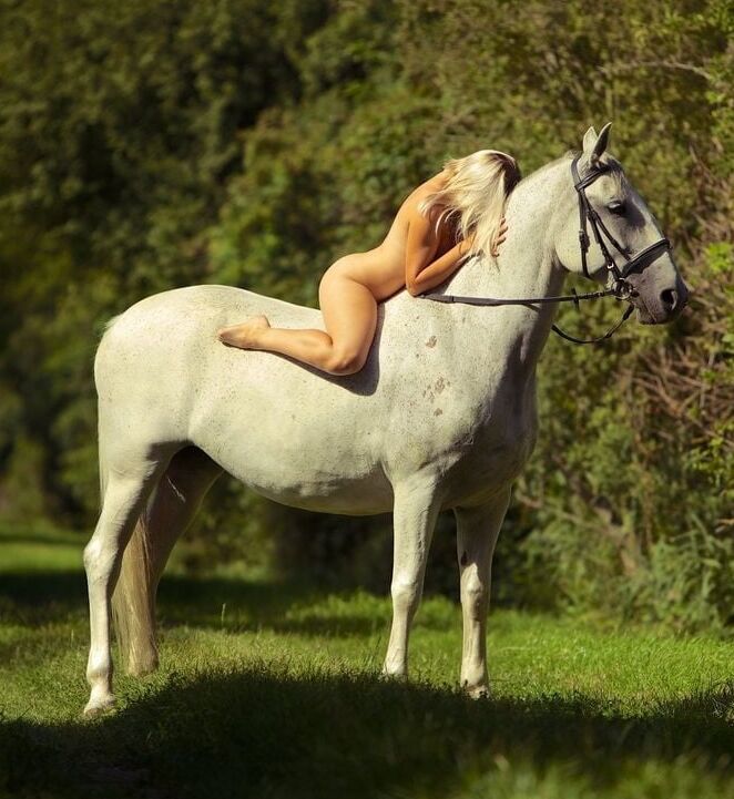 All Sizes, All Sexy - Bareback Beauties