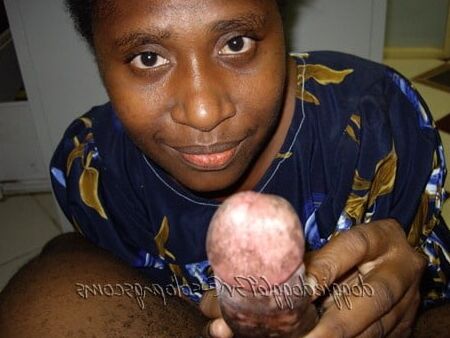 Cock Sucking Experts Freebies