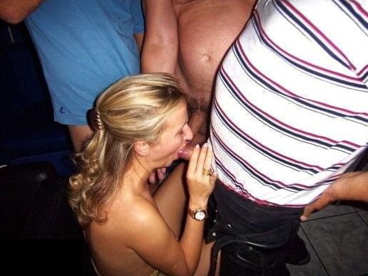 chienne offerte