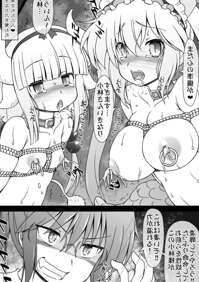 Kobayashi-san-chi no Seido Dragon