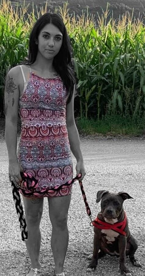 Sofia la chienne