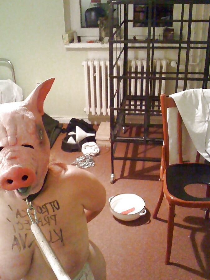 Schweinegeil