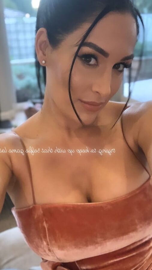 Pregnant Bella Twins ()